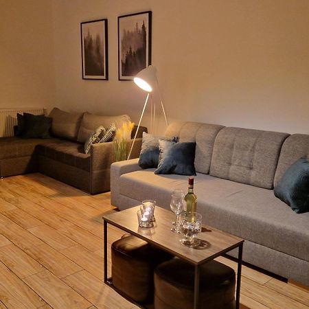 Monia Apartment Świeradów-Zdrój Exterior foto